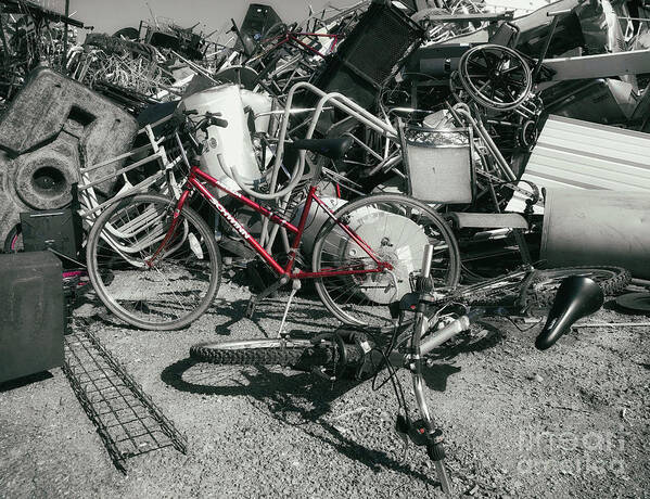 Bicycle Art Print featuring the photograph Things that cycle by Steven Digman
