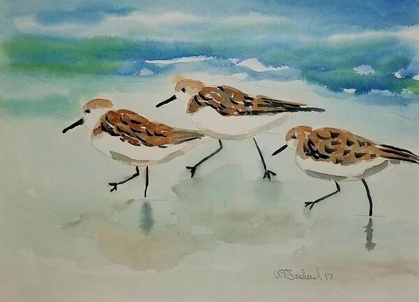 Plovers Art Print featuring the painting Three birds at the beach by Ann Frederick