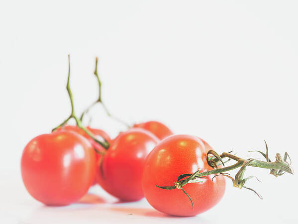 Tomatoes Art Print featuring the photograph Tomatoes by Lori Rowland