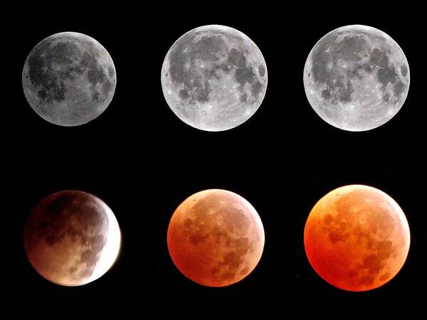 Total Eclipse Art Print featuring the photograph Total Eclipse Of Heart Sequence by Joannis S Duran / Freelance Photographer