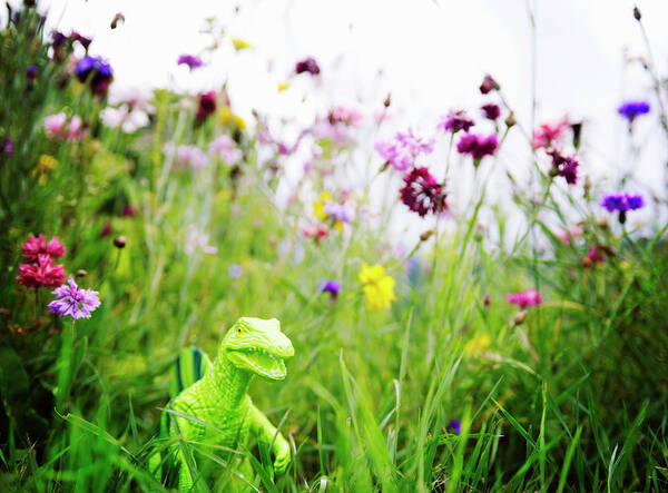 Prehistoric Era Art Print featuring the photograph Toy Dinosaur In Garden With Flowers by Tara Moore