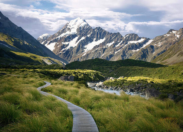 Curve Art Print featuring the photograph Trail To Mt. Cook, South Island, New by Ed Freeman