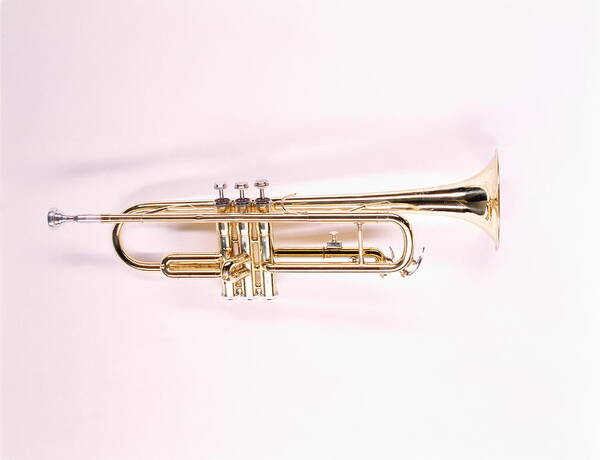 White Background Art Print featuring the photograph Trumpet by Howard Kingsnorth