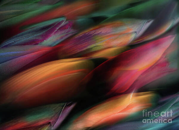 Tulips Art Print featuring the mixed media Tulip Flow by Jacky Gerritsen