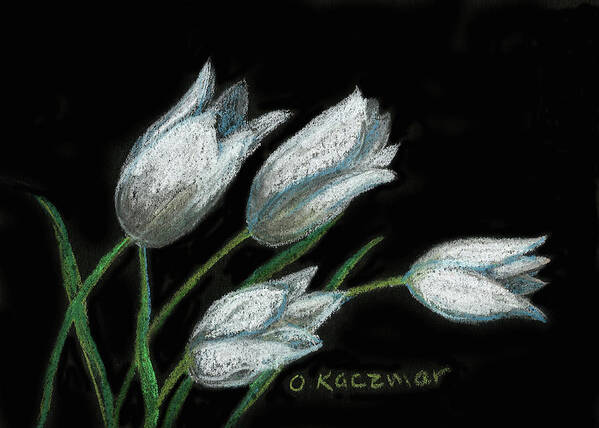White Tulips Art Print featuring the pastel Tulips on Black by Olga Kaczmar