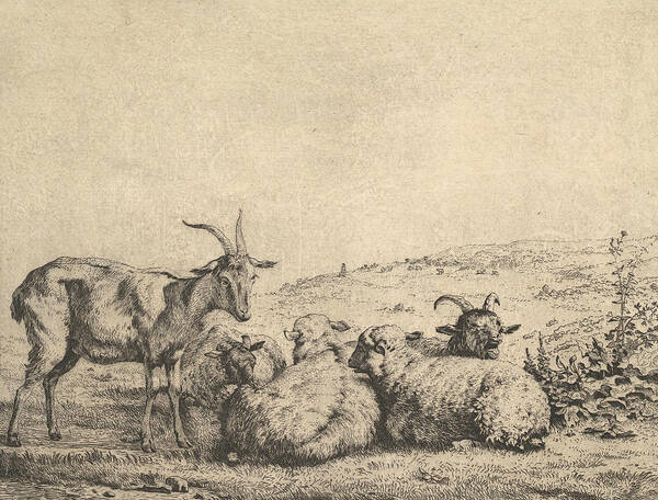 17th Century Art Art Print featuring the relief Two Goats and Three Sheep by Karel Dujardin