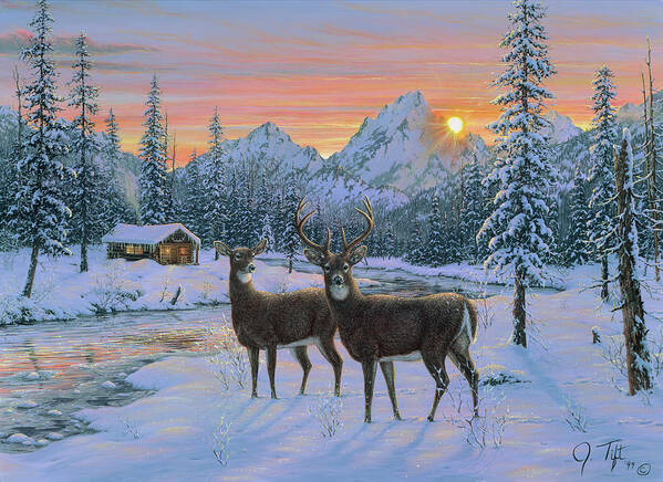 Whitetail & Cabin Art Print featuring the painting Whitetail & Cabin by Jeff Tift