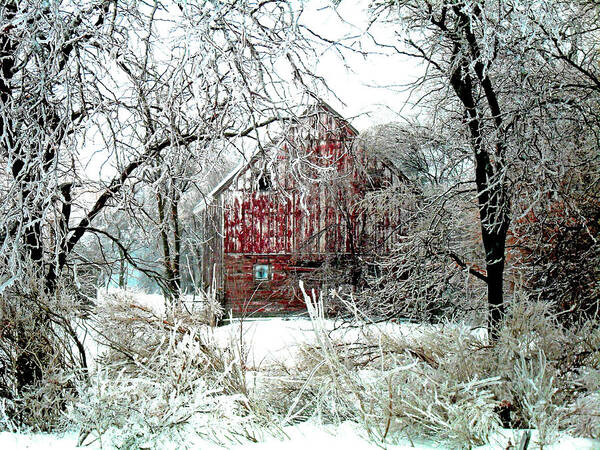 Christmas Art Print featuring the photograph Winter Wonderland by Julie Hamilton