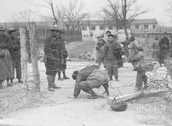 Chinese Culture Art Print featuring the photograph Woman Crawling Through Barbed Wire by Bettmann