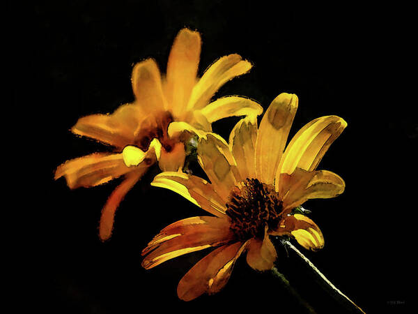 Impressionist Art Print featuring the photograph Yellow Wildflowers 240 IDP_2 by Steven Ward