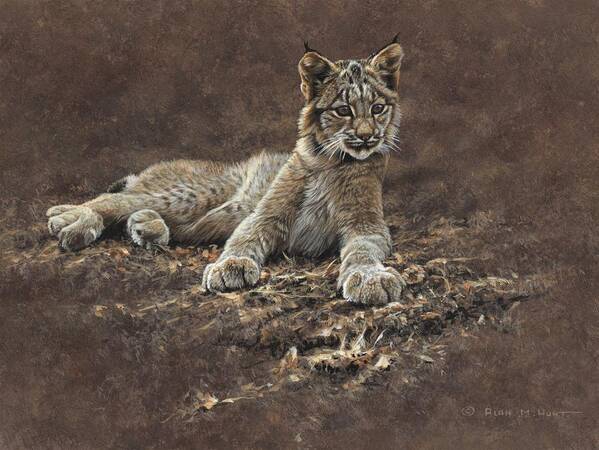 Paintings Art Print featuring the painting Young Bobcat by Alan M Hunt by Alan M Hunt