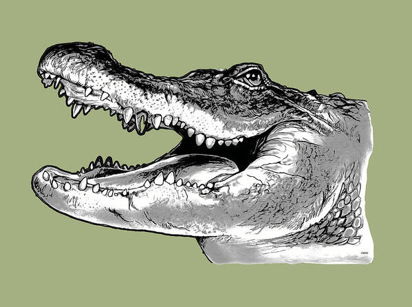 American Art Print featuring the drawing American Alligator #1 by Greg Joens