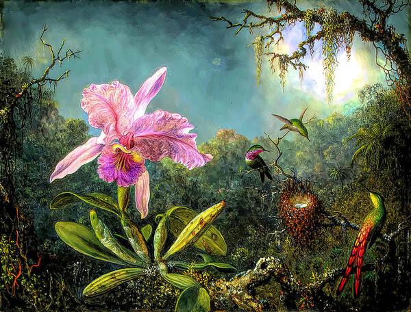 Cattleya Orchid And Three Brazilian Hummingbirds Art Print featuring the painting Cattleya Orchid and Three Brazilian Hummingbirds by Martin Johnson Heade
