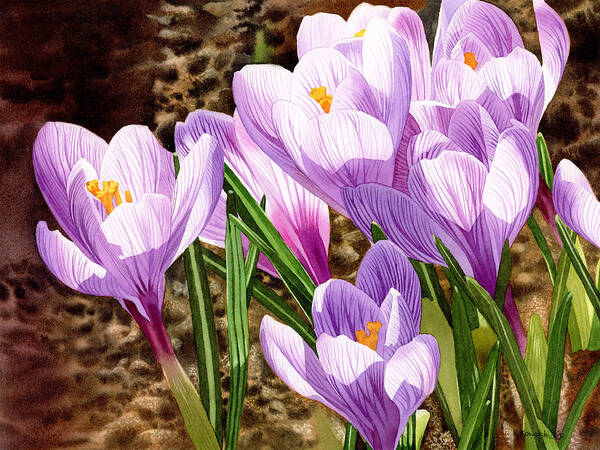 Crocus Art Print featuring the painting Early Spring by Espero Art