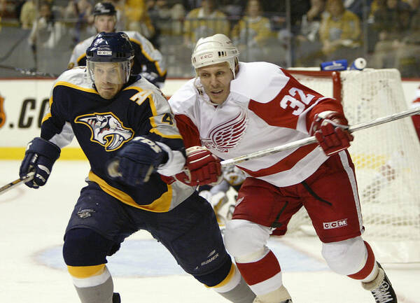 Playoffs Art Print featuring the photograph Red Wings v Predators #1 by Brian Bahr