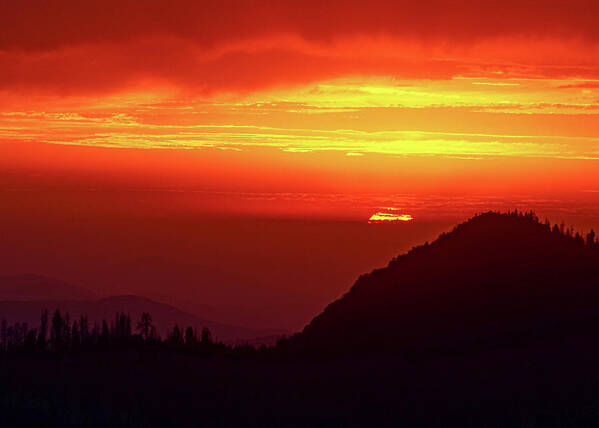 Sequoia National Park Art Print featuring the photograph Summer Sunset #1 by Brett Harvey