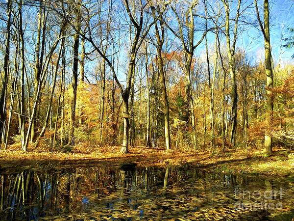 Woods Art Print featuring the photograph You Got To Feel It #1 by Xine Segalas