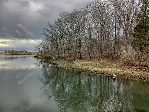 River Art Print featuring the photograph The Bass River #187 by Scott Hufford