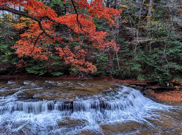 South Chagrin Reservation Art Print featuring the photograph Quarry Rock Falls in the Fall #2 by Brad Nellis