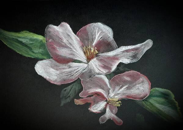 Spring Art Print featuring the pastel Apple Blossoms #5 by Betty-Anne McDonald