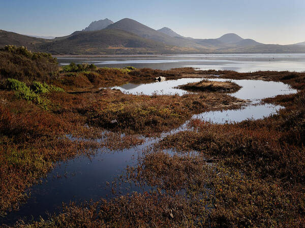  Art Print featuring the photograph Morro Bay Estuary #4 by Lars Mikkelsen