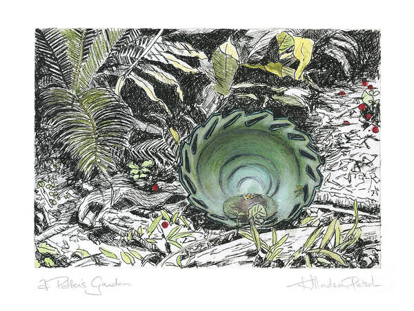 Fine Art Art Print featuring the drawing A Potters Garden - Section 01 by Kerryn Madsen- Pietsch