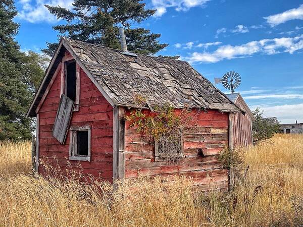 Outbuildings Art Print featuring the photograph Abandoned Farm Outbuilding by Jerry Abbott