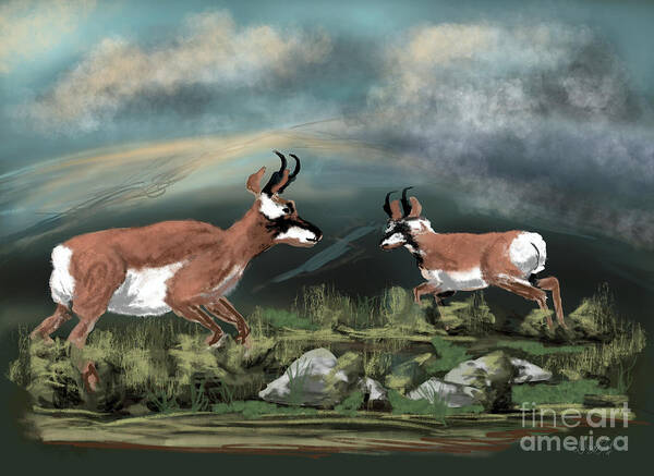 Pronghorn Antelope Art Print featuring the digital art Antelope by Doug Gist