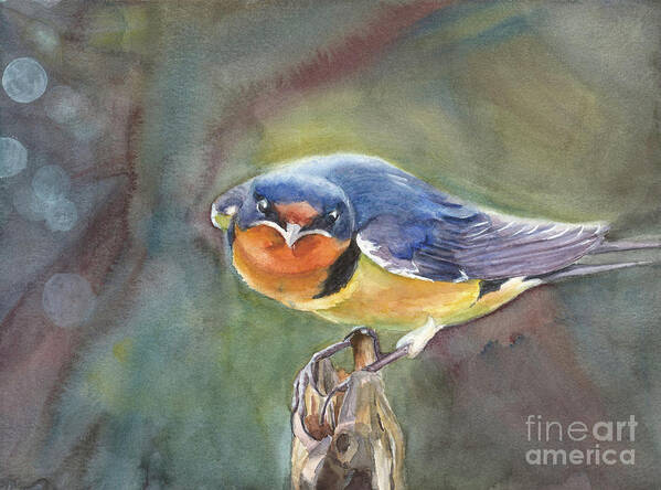 Barn Swallow Art Print featuring the painting Are you looking at me? by Vicki B Littell