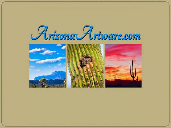 Icon Art Print featuring the photograph Arizona Artware by Judy Kennedy