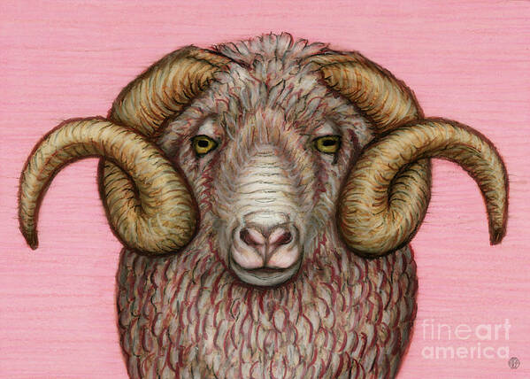Ram Art Print featuring the painting Arles Merino Ram by Amy E Fraser