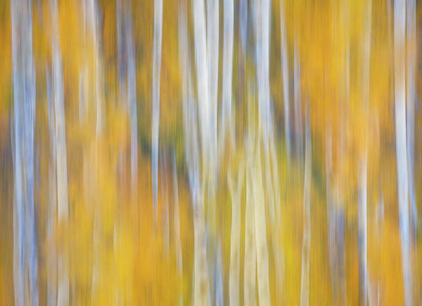 Abstract Art Print featuring the photograph Autumn Awakening by Darren White