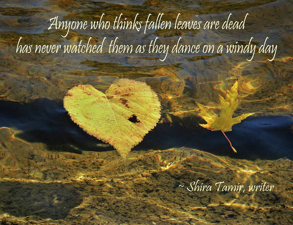 Autumn Art Print featuring the photograph Autumn Falling Leaves and Quote by Nancy Griswold