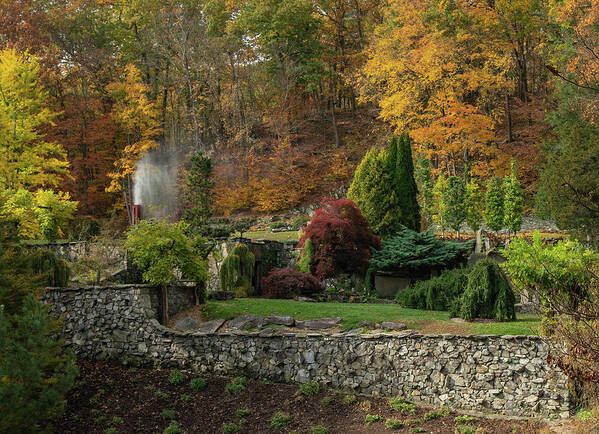 Autumn Art Print featuring the photograph Autumn on the Mountainside by Sylvia Goldkranz