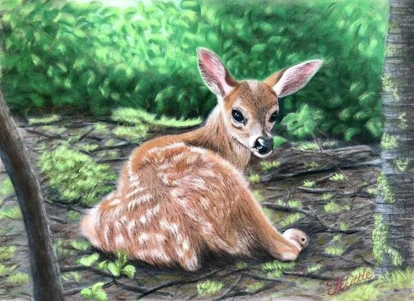 Deer Art Print featuring the pastel Bambi? by Marlene Little