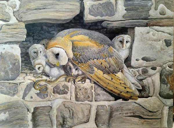 Barn Owl Art Print featuring the painting Barn Owl Family by Barry Kent MacKay