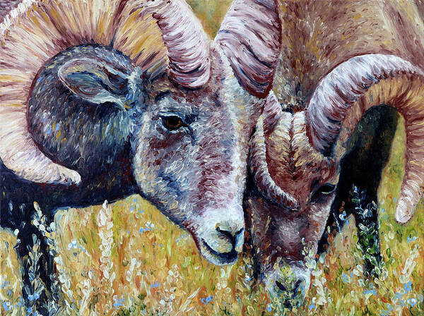 Big Horn Sheep Art Print featuring the painting Bighorns by Bari Rhys