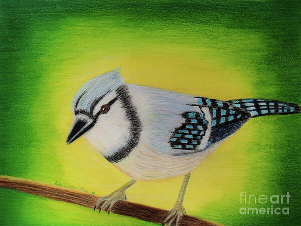 Art Art Print featuring the painting Blue Jay by Dorothy Lee