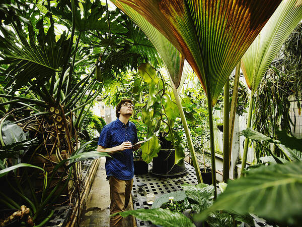 Expertise Art Print featuring the photograph Botanist in greenhouse with digital tablet by Thomas Barwick