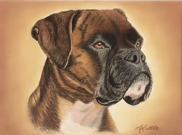 Boxer Art Print featuring the drawing Boxer by Marlene Little