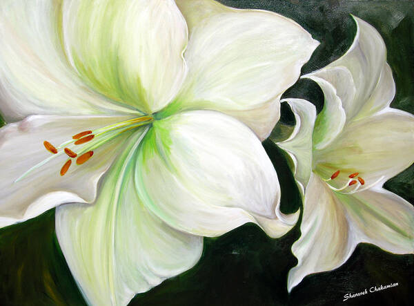 Lilies Art Print featuring the painting Breath of Fresh air by Sheri Chakamian