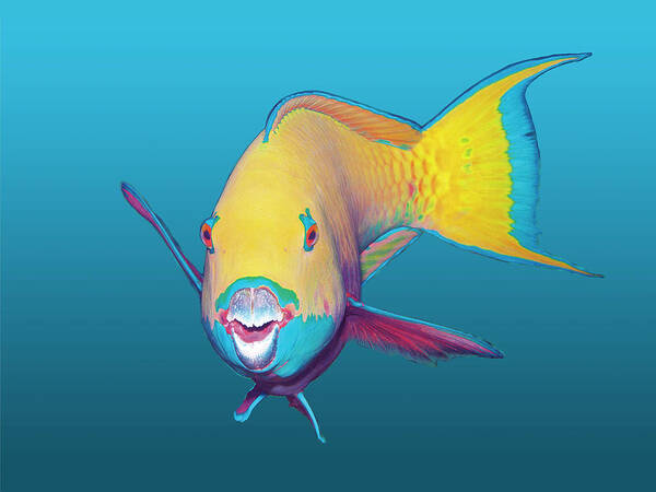 Heavybeak Parrotfish Art Print featuring the mixed media Parrotfish - Brightly colored on gradient blue background - by Ute Niemann