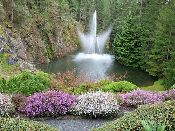 Butchart Gardens Art Print featuring the photograph Butchard Gardens Ross Fountain by Charles Robinson