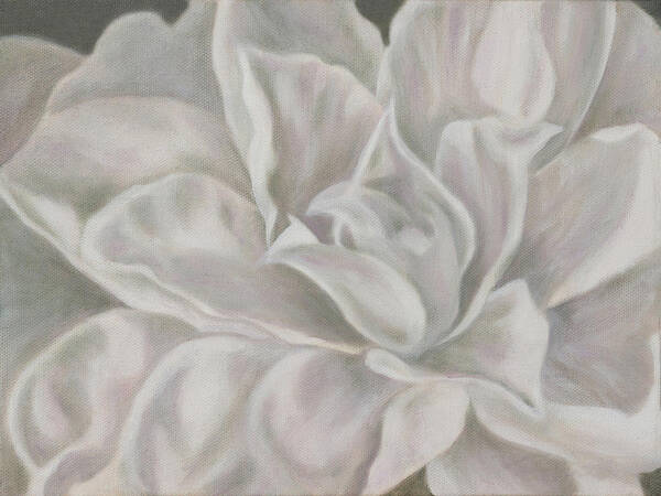 Art Art Print featuring the painting Camellia by Tammy Pool