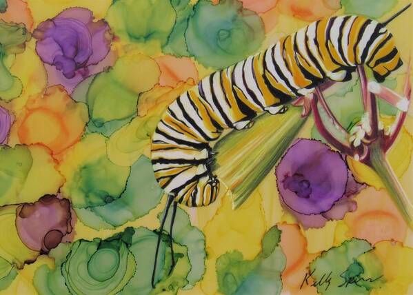 Caterpillar Art Print featuring the drawing Change from Above by Kelly Speros