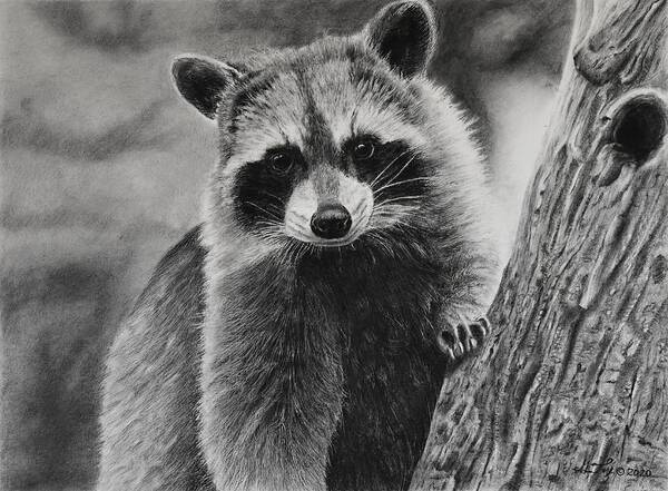 Raccoon Art Print featuring the drawing Characters Wanted by Greg Fox