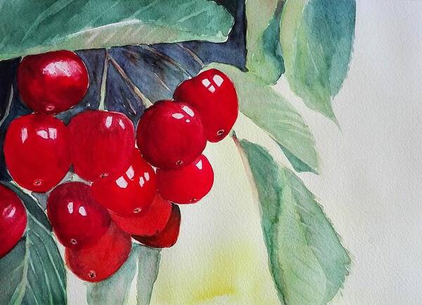 Fruit Art Print featuring the painting Cherries by Sandie Croft