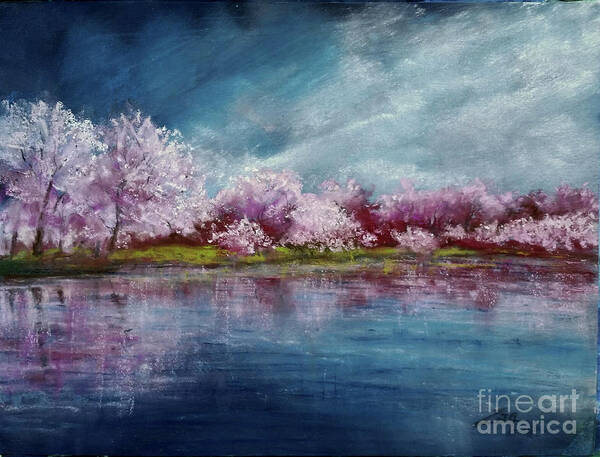 Cherry Tree Art Print featuring the pastel Cherry Tree Spring Reflection by Zan Savage