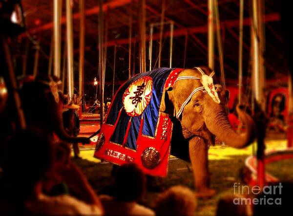  Art Print featuring the photograph Circus Tent Dreams 5 by Rodney Lee Williams
