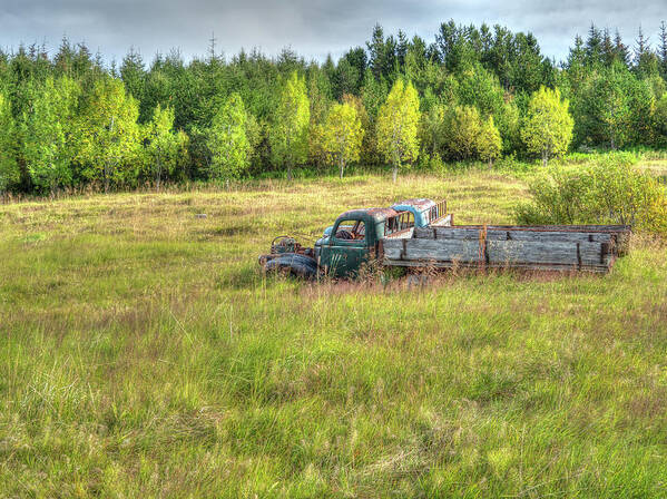 Ford Chevy Art Print featuring the photograph Classics in Retirement Iceland Style by Kristia Adams